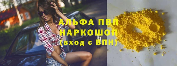 шишки Белокуриха