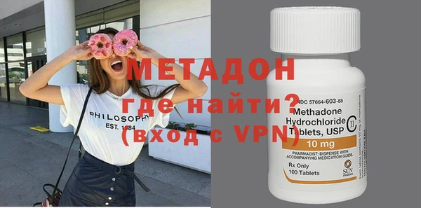 шишки Белокуриха
