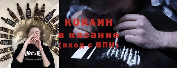 шишки Белокуриха
