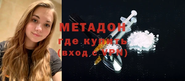 шишки Белокуриха