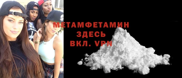шишки Белокуриха