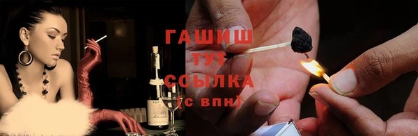 шишки Белокуриха